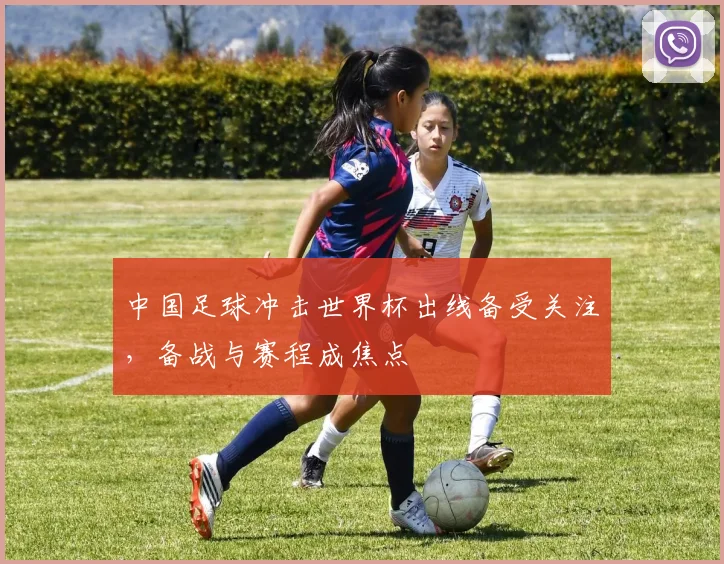 中国足球冲击世界杯出线备受关注,备战与赛程成焦点