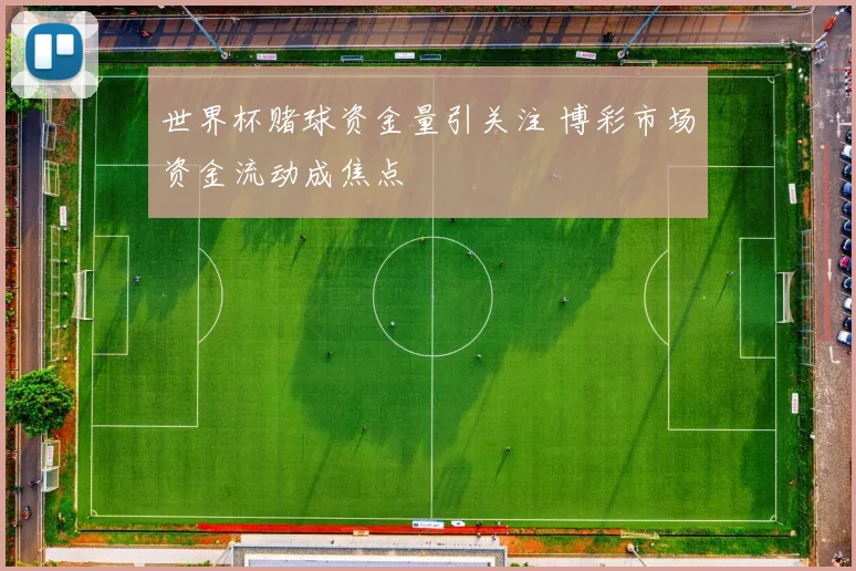 世界杯赌球资金量引关注 博彩市场资金流动成焦点