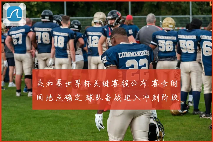 美加墨世界杯关键赛程公布 赛会时间地点确定 球队备战进入冲刺阶段